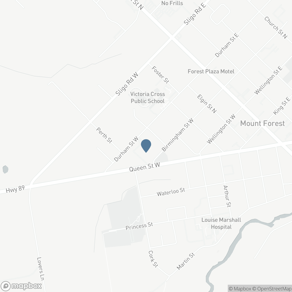 440 DURHAM Street W Unit# 203, Mount Forest, Ontario N0G 2L1